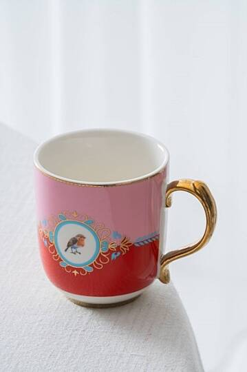 ARIES BIRD KUPA, KIRMIZI